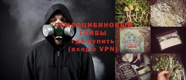 ПСИЛОЦИБИНОВЫЕ ГРИБЫ Пересвет