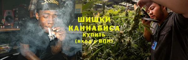 ПСИЛОЦИБИНОВЫЕ ГРИБЫ Пересвет