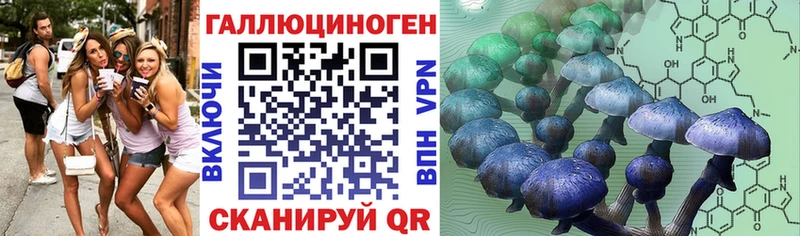 Купить где  Ярославль  Галлюциногенные грибы MAGIC MUSHROOMS 